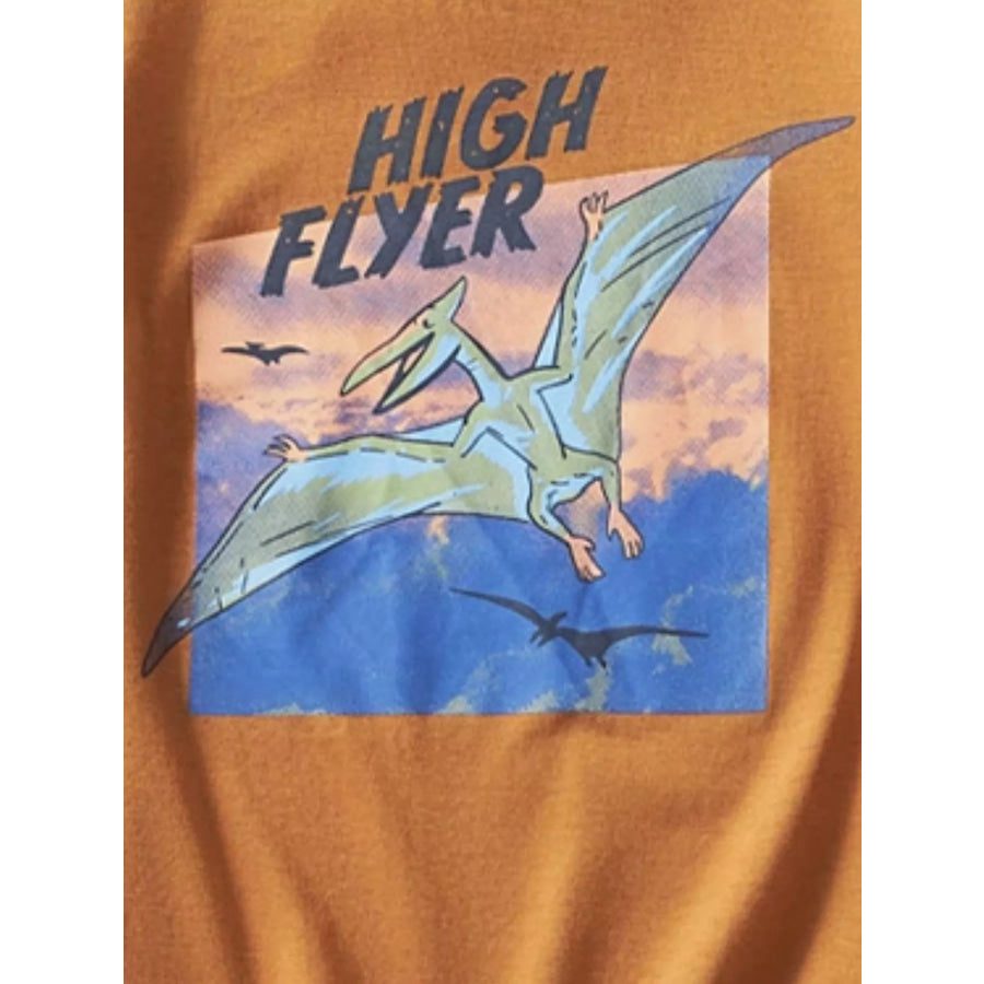 Children’s Dinosaur Triceratops Graphic T-Shirt Apparel and Accessories