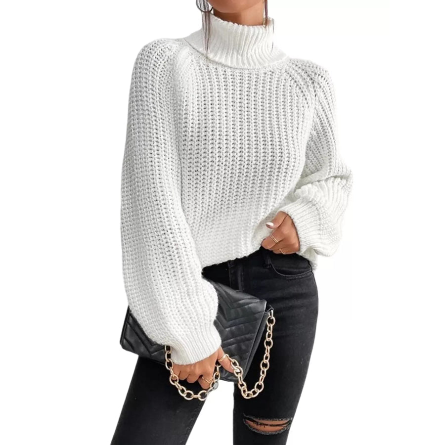 Chunky Knit Turtleneck Long Sleeve Sweater Apparel and Accessories