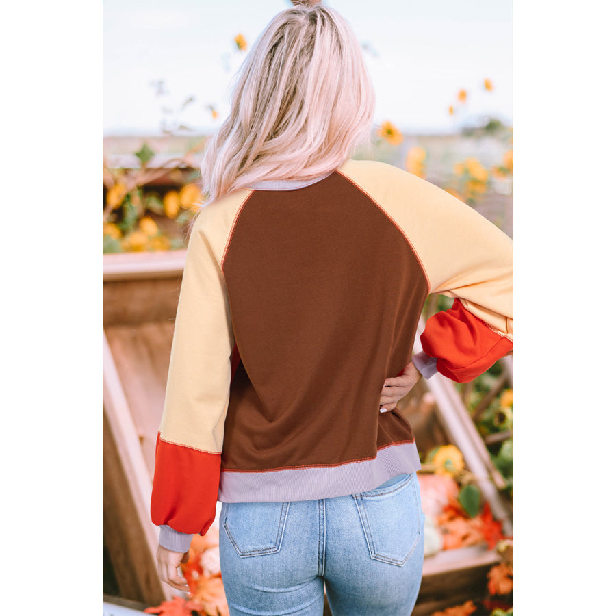 Color Block Round Neck Long Sleeve Sweatshirt Apparel and Accessories