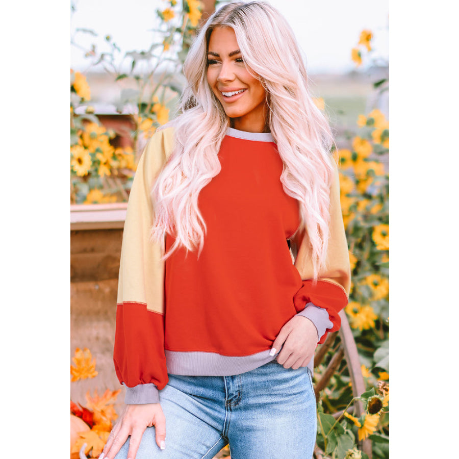 Color Block Round Neck Long Sleeve Sweatshirt Apparel and Accessories