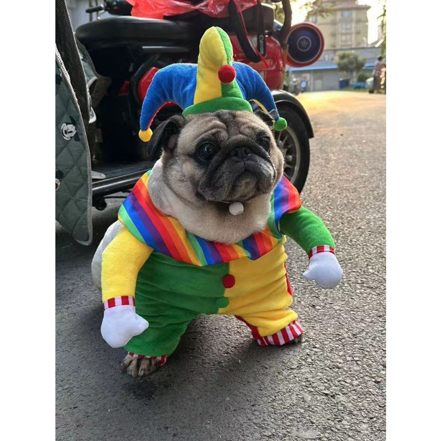 Colorful Clown Pet Jumpsuit with Hat Clown Transformation Costume / S Apparel and Accessories