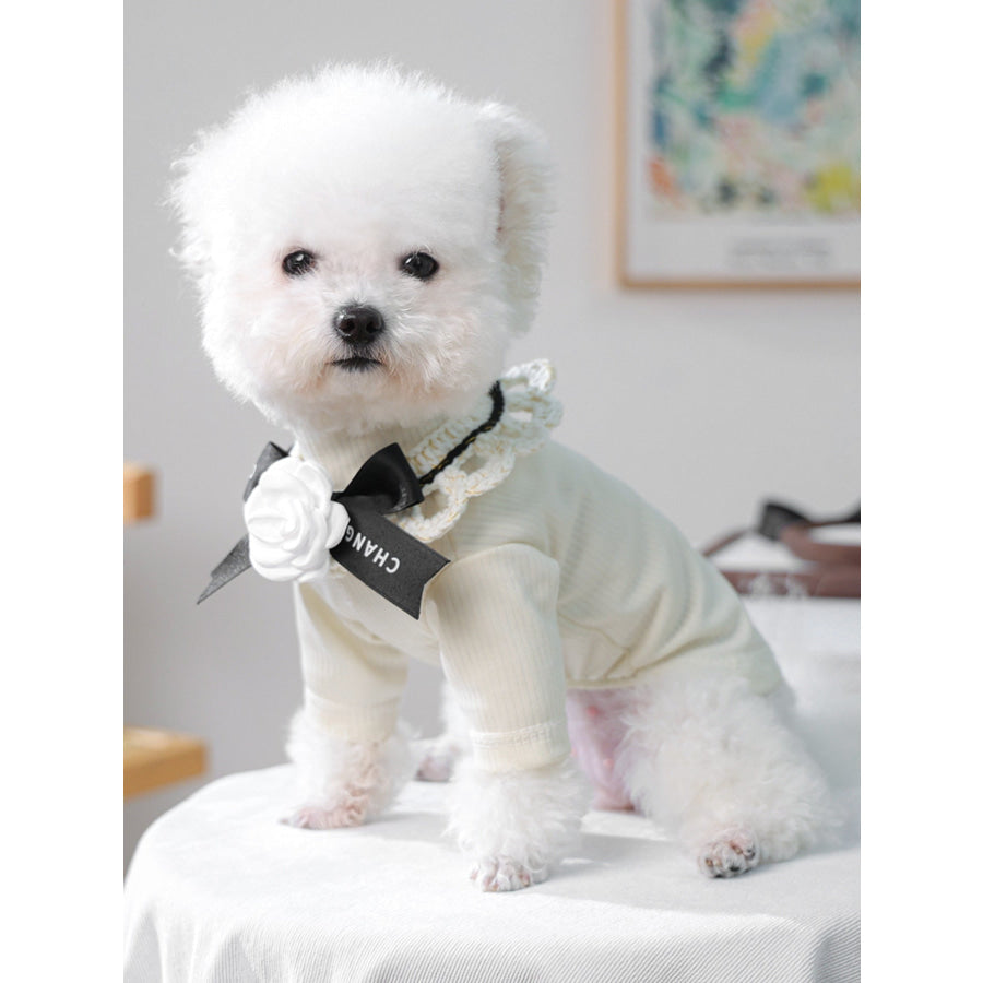 Contrast Pet Scarf Apparel and Accessories