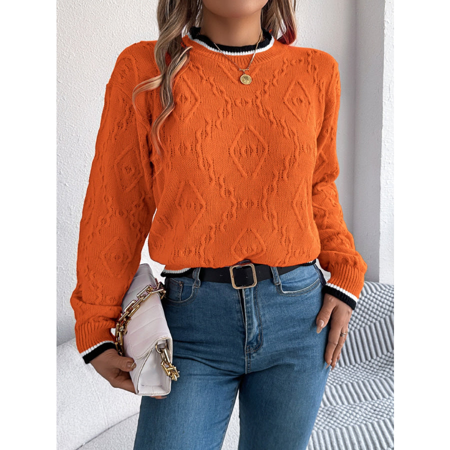 Contrast Trim Round Neck Long Sleeve Sweater Apparel and Accessories