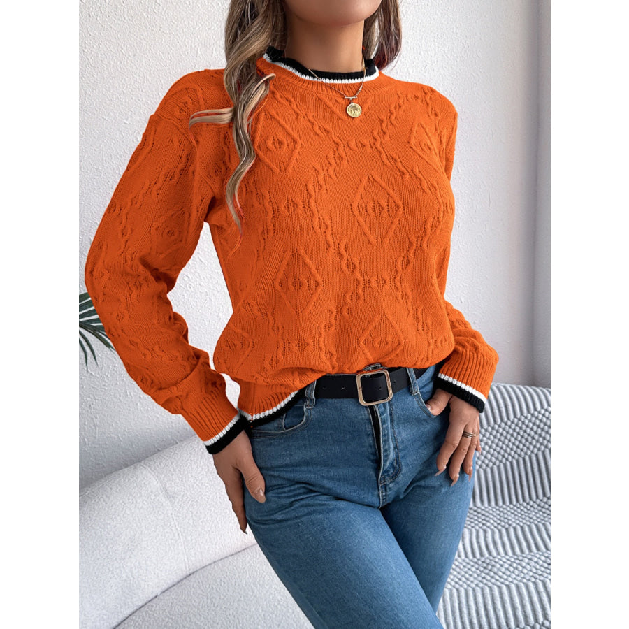 Contrast Trim Round Neck Long Sleeve Sweater Apparel and Accessories