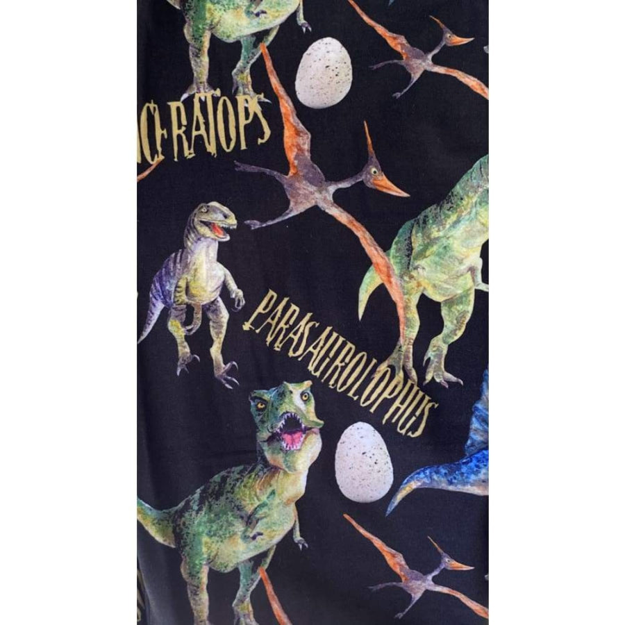 EXTRAS CUSTOM DESIGN KIDS LEGGINGS/JOGGERS/HOODIES Dinos / Kids L/XL Leggings