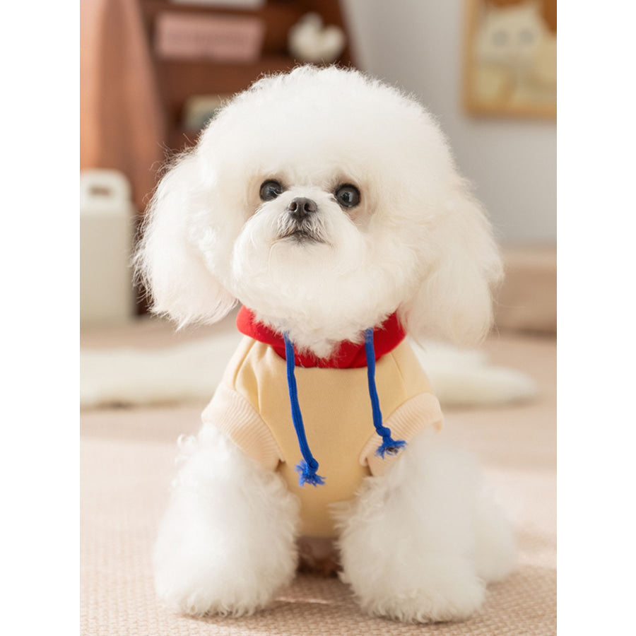 Cute Cartoon Pet Top Apparel and Accessories