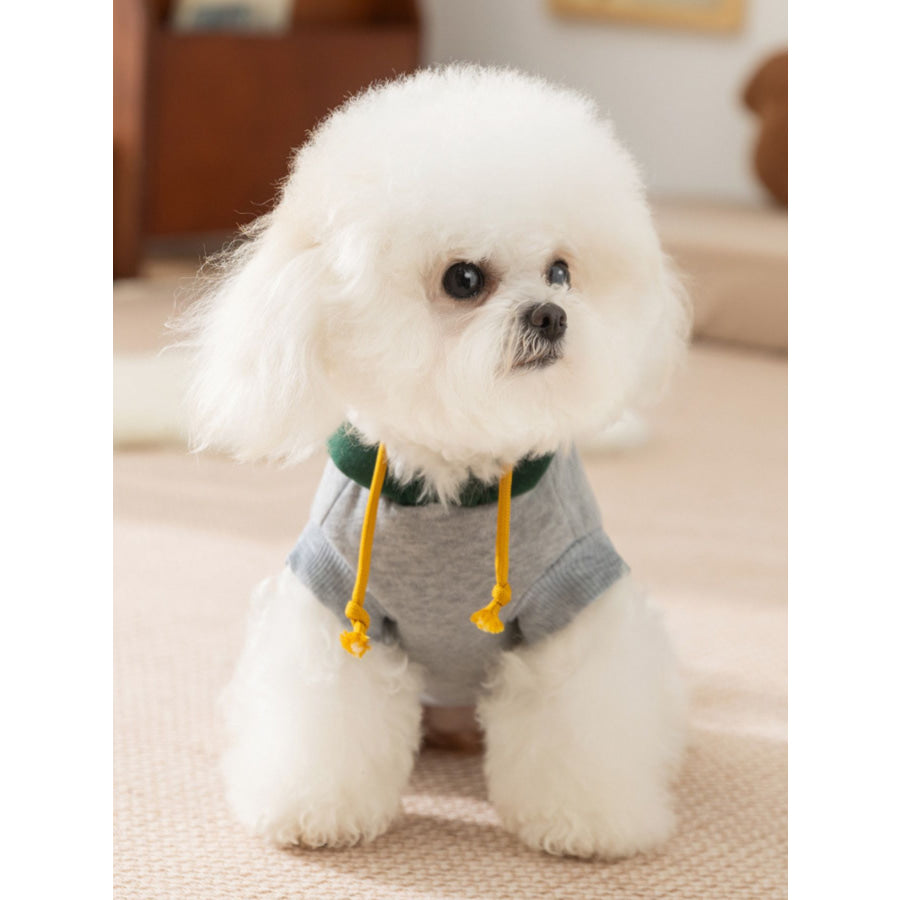 Cute Cartoon Pet Top Apparel and Accessories