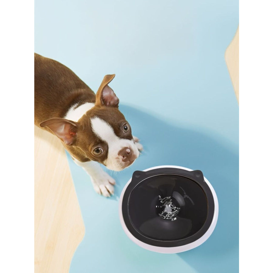Cute Cat Ear Pet Bowls Apparel and Accessories