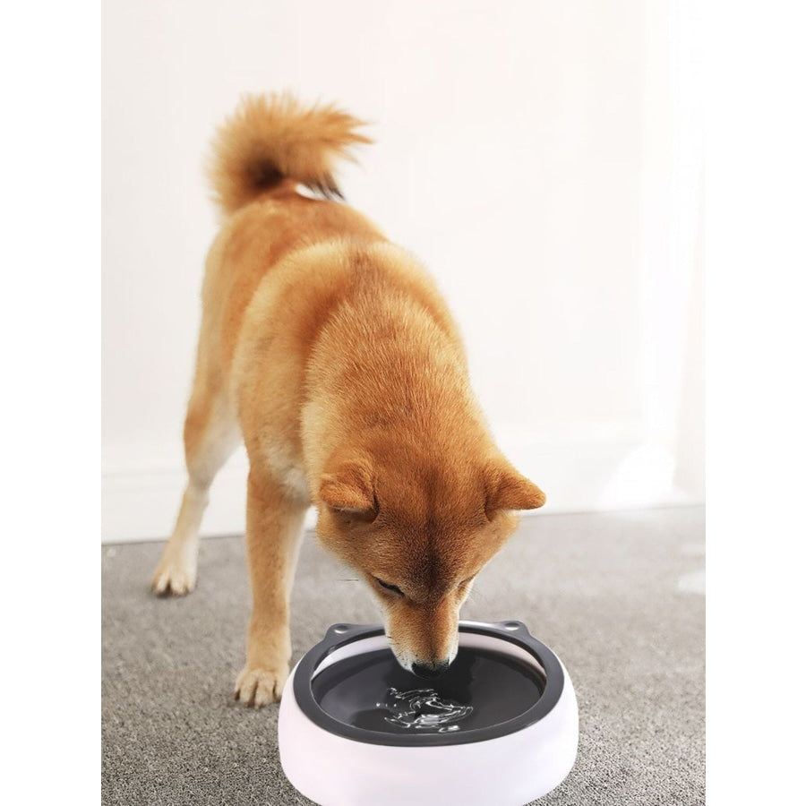 Cute Cat Ear Pet Bowls Black / ONESIZE Apparel and Accessories