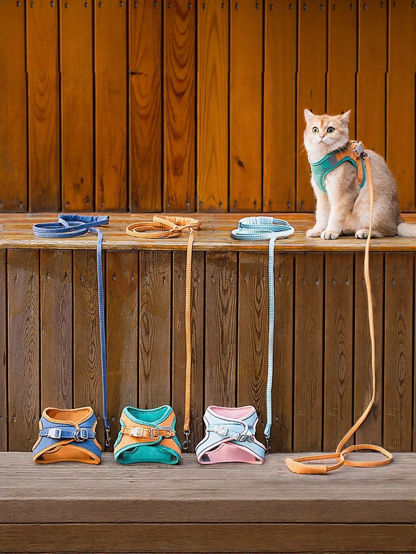 4573927f-8ad4-4e37-9ff7-9c80d15ba7e6-Max