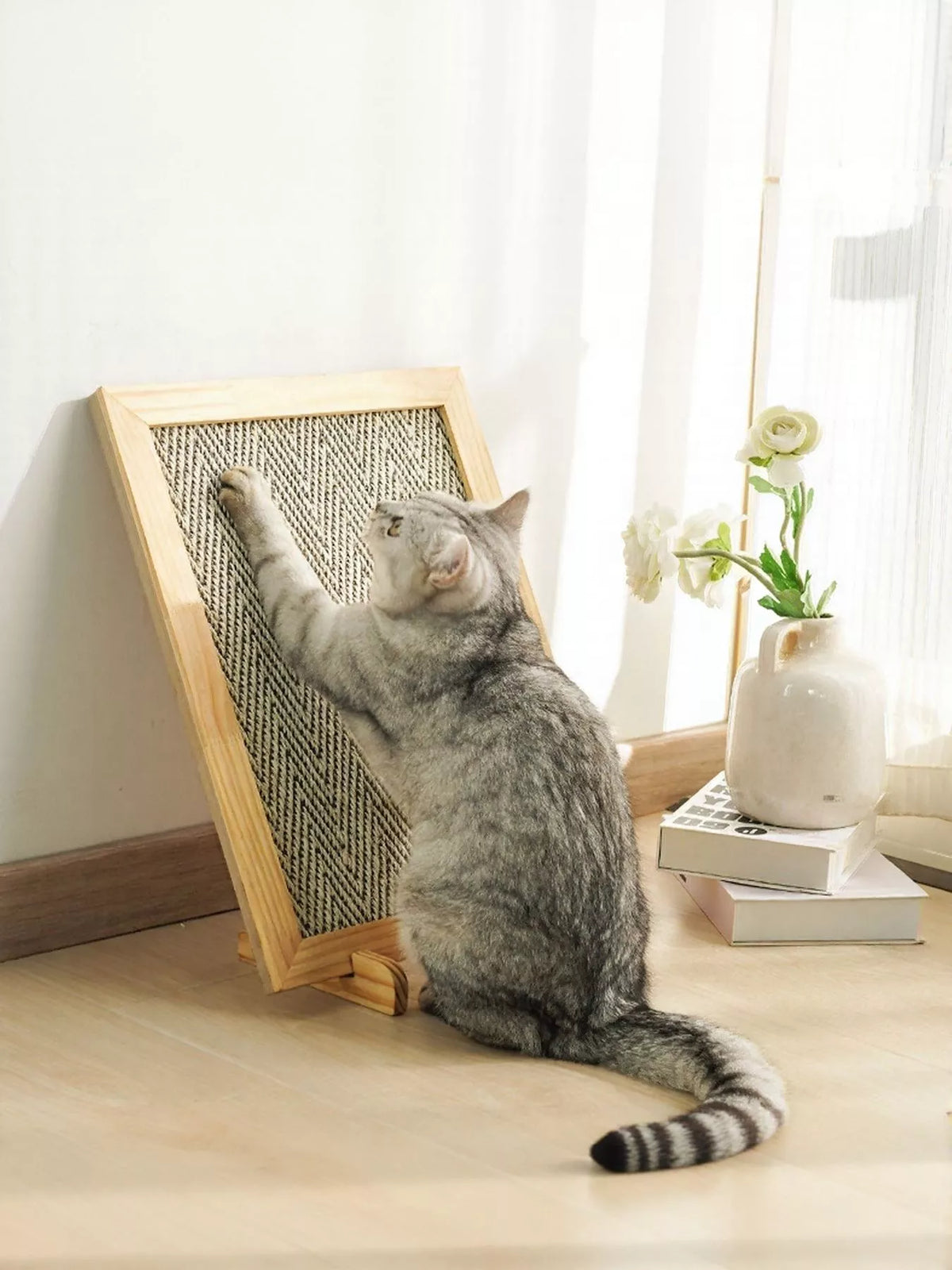 d8f7188b-6ea2-4fef-871e-3744f1d82046-Max-Origin