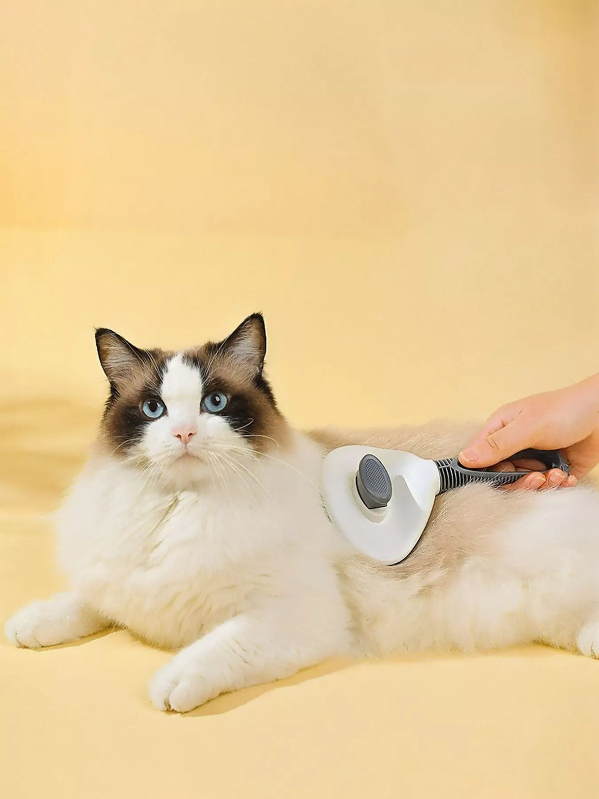 dbc5f732-ec05-4cc2-a13a-356a4632aa86-Max-Origin