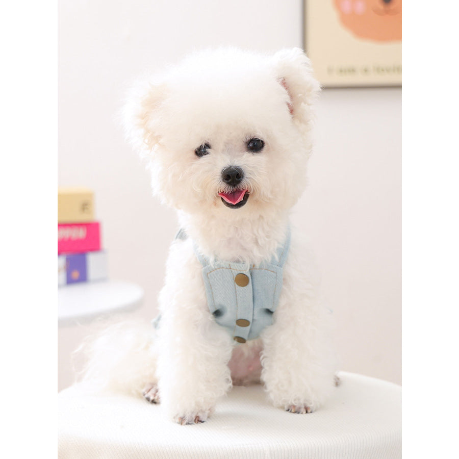 Denim Lace-Up Ruffle Pet Dress Apparel and Accessories
