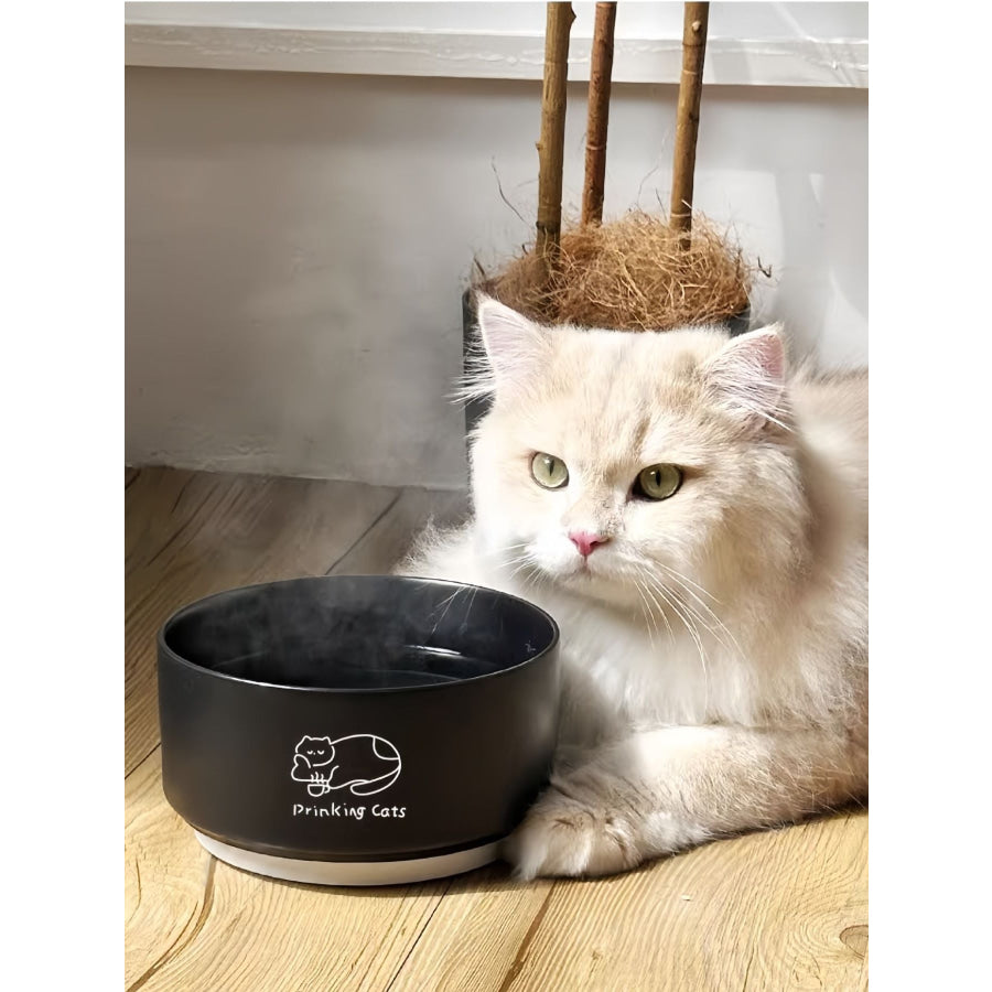 Drinking Cats Pattern Ceramic Pet Bowl Black Bowl / ONESIZE Apparel and Accessories