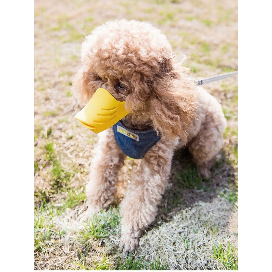 Duck-Billed Style Pet Muzzle Apparel and Accessories