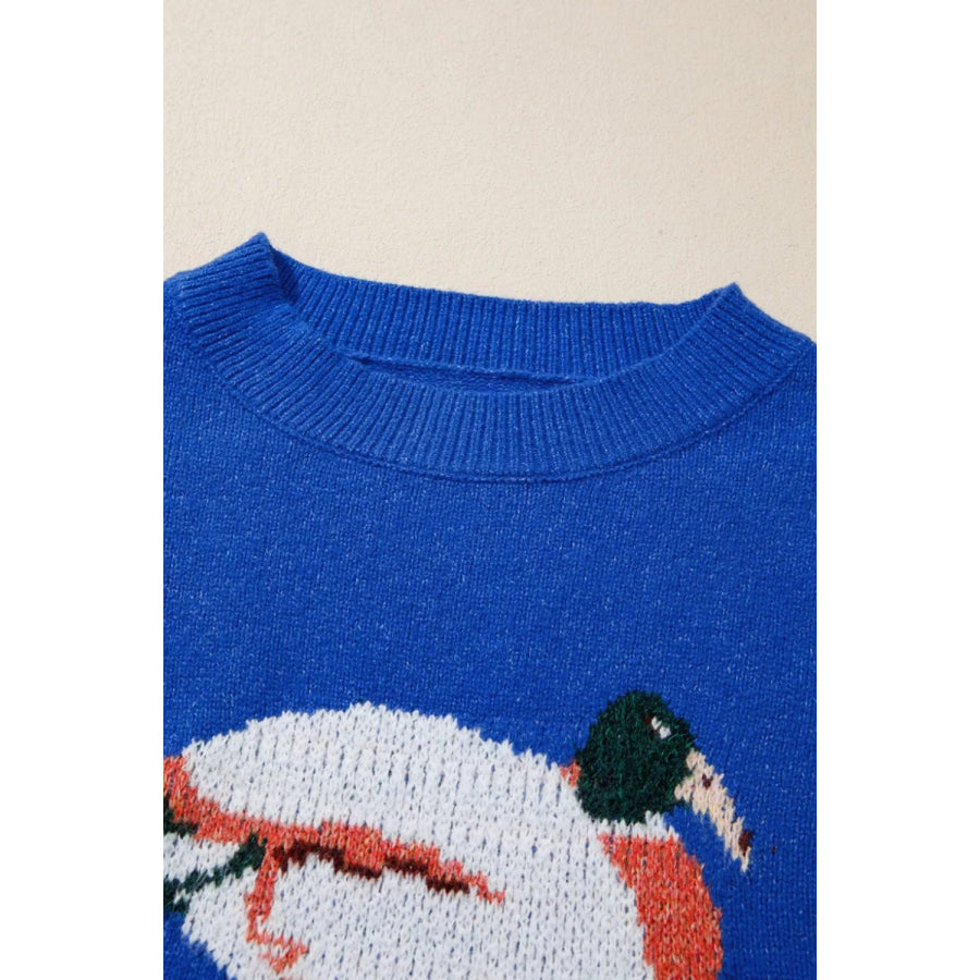 Duck Graphic Drop Shoulder Long Sleeve Sweater Apparel and Accessories