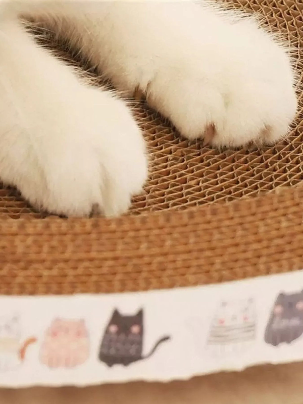 ea2ec200-1793-48c3-9ccf-32f4d9bcc42b-Max-Origin