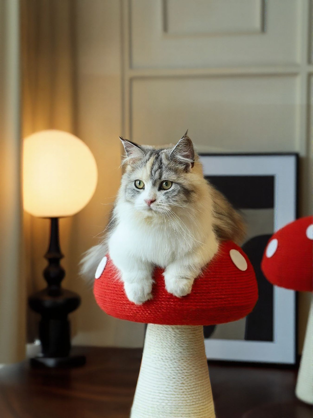 eade7ede-14ba-422c-ba4e-ba4797d417ba-Max