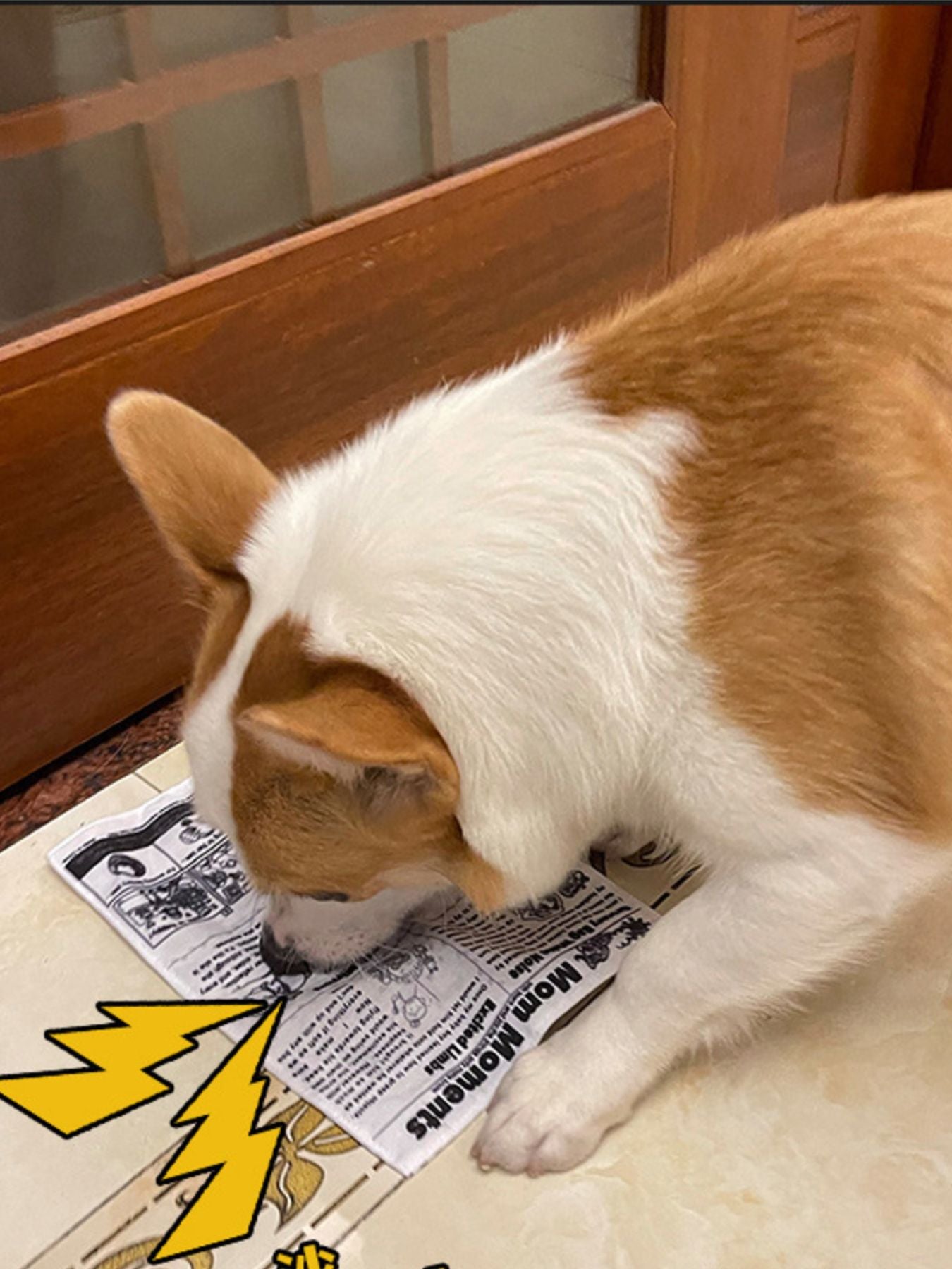 dd5232b9-c336-49f6-89cb-ba67c2220048-Max