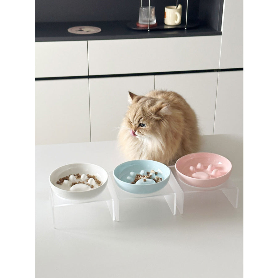 Elevated Slow Feeder Pet Bowls White Bowl + Frame / ONESIZE Apparel and Accessories