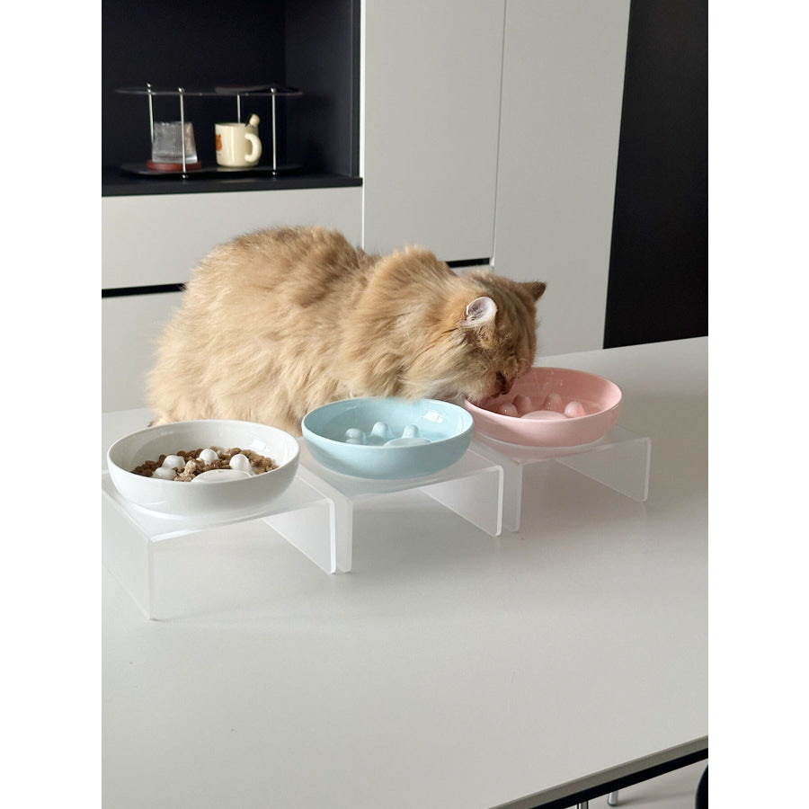 Elevated Slow Feeder Pet Bowls White Bowl + Frame / ONESIZE Apparel and Accessories
