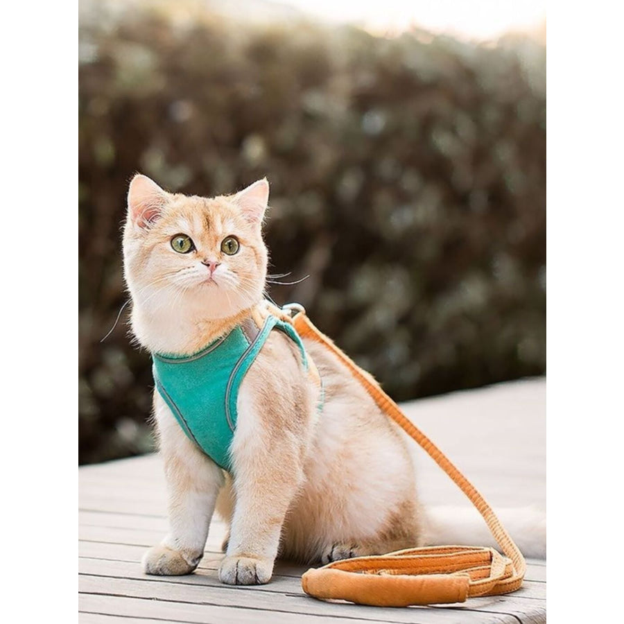 Escape-Proof Cat Harness and Leash Set Orange / S Apparel Accessories