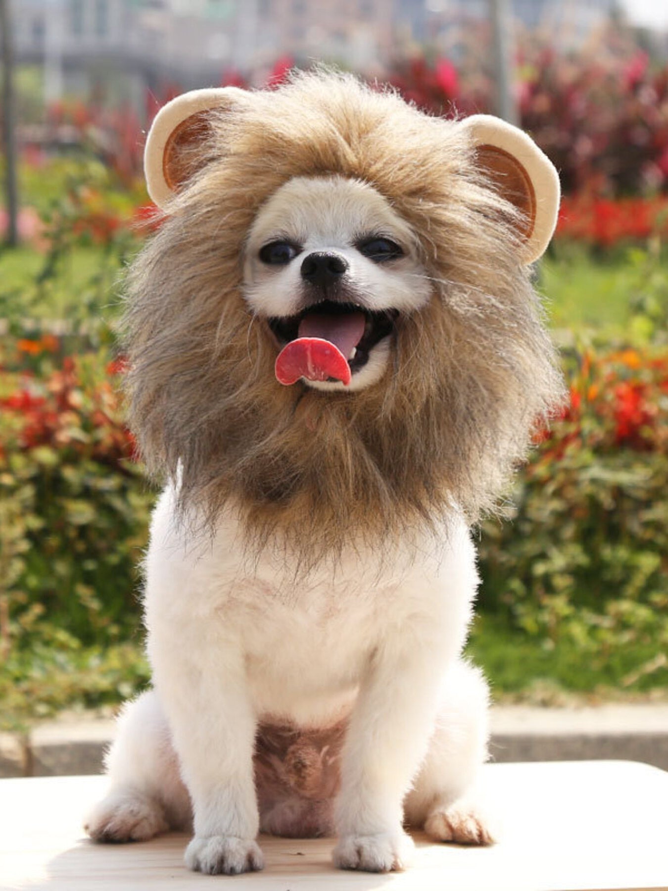 de75716a-7b66-4fdf-9b3b-a672b0a67375-Max