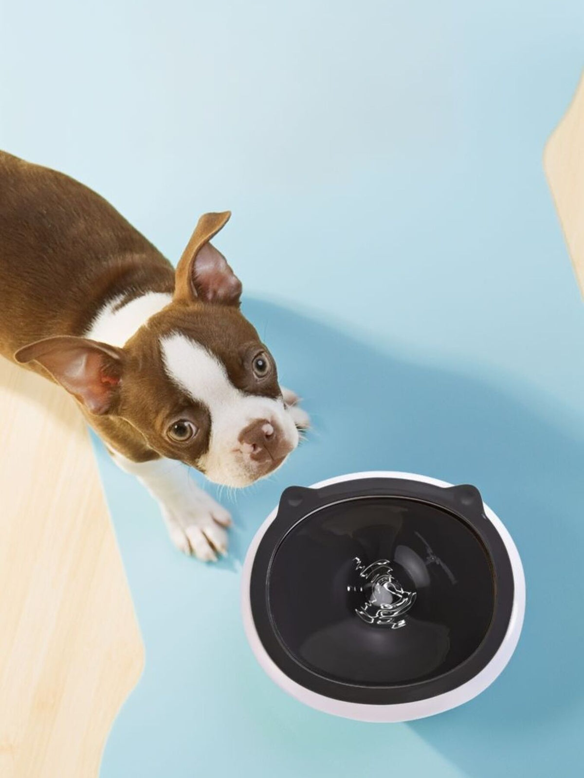 f58960640f324865a827dcbb74e31982-Max