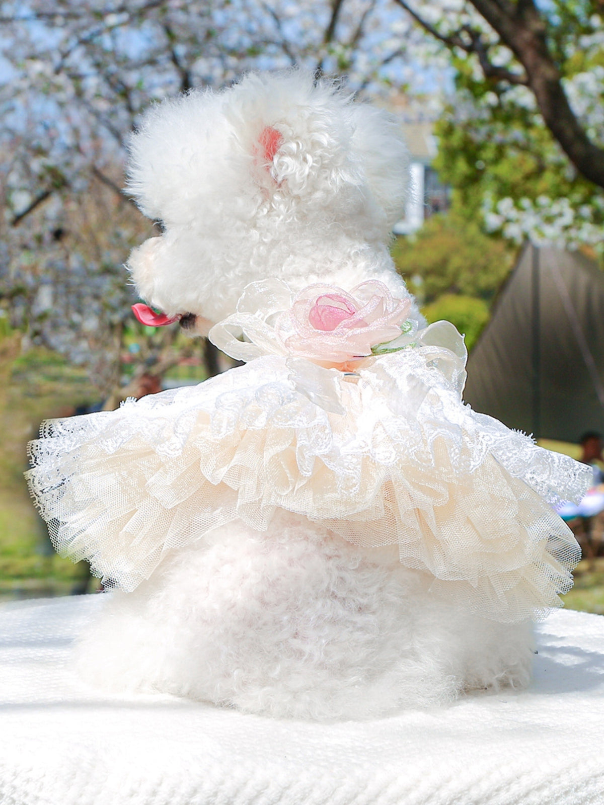 f75e1522-dba7-4cf2-b41e-99879903a499-Max