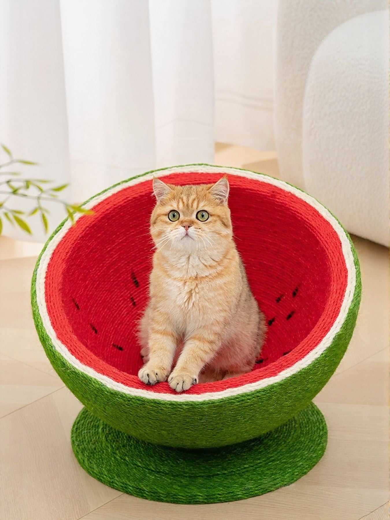 f86f67e4-c508-4542-91ca-569d375a5c82-Max