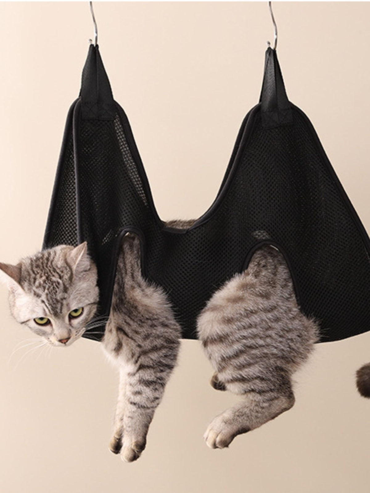 f8a697ed-fe9d-43e3-87d2-2b509581b2f1-Max