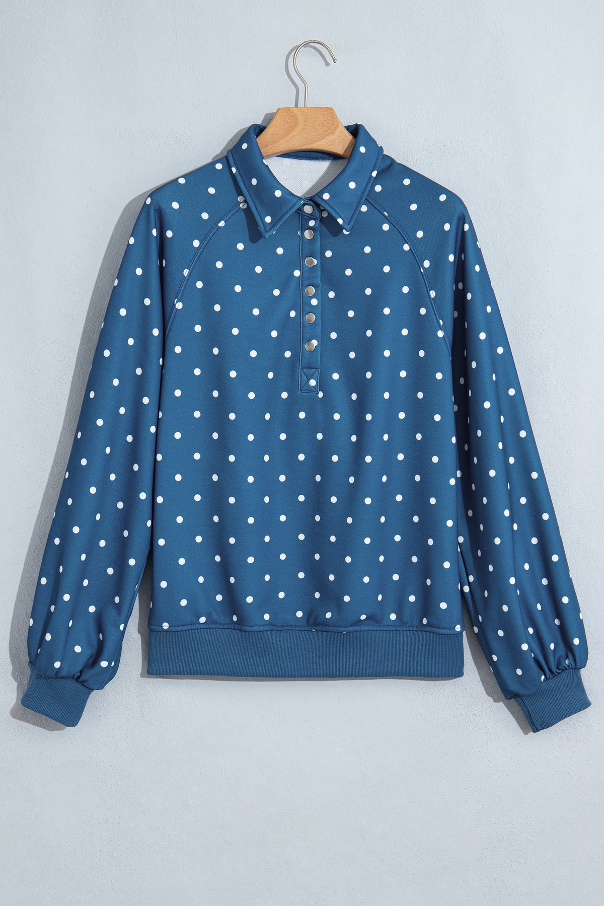 Blue Polka Dot Print Metal Button Collar Casual Pullover Sweatshirt