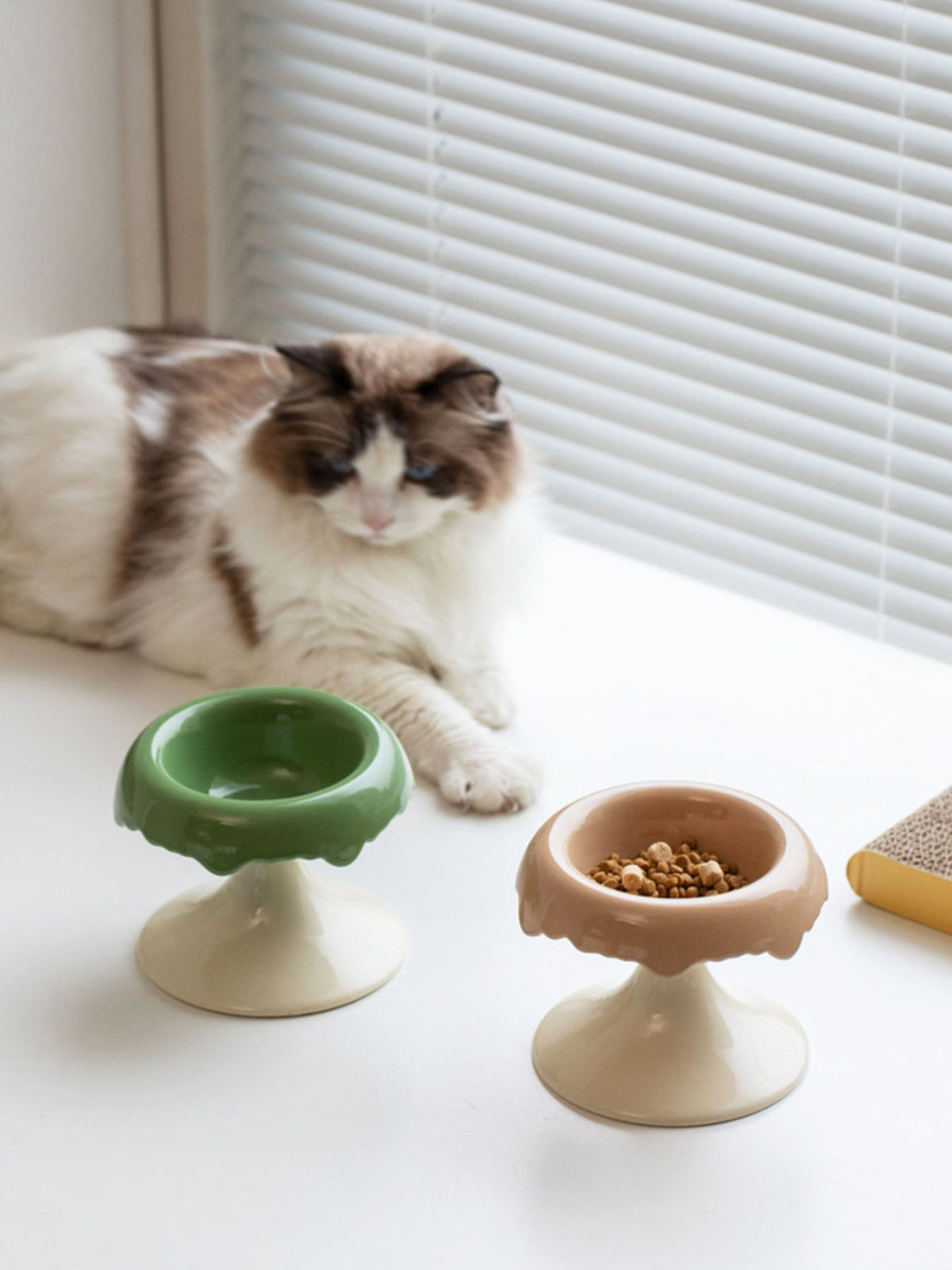 fba2e82f-dacc-4db2-b377-f6335ed36133-Max