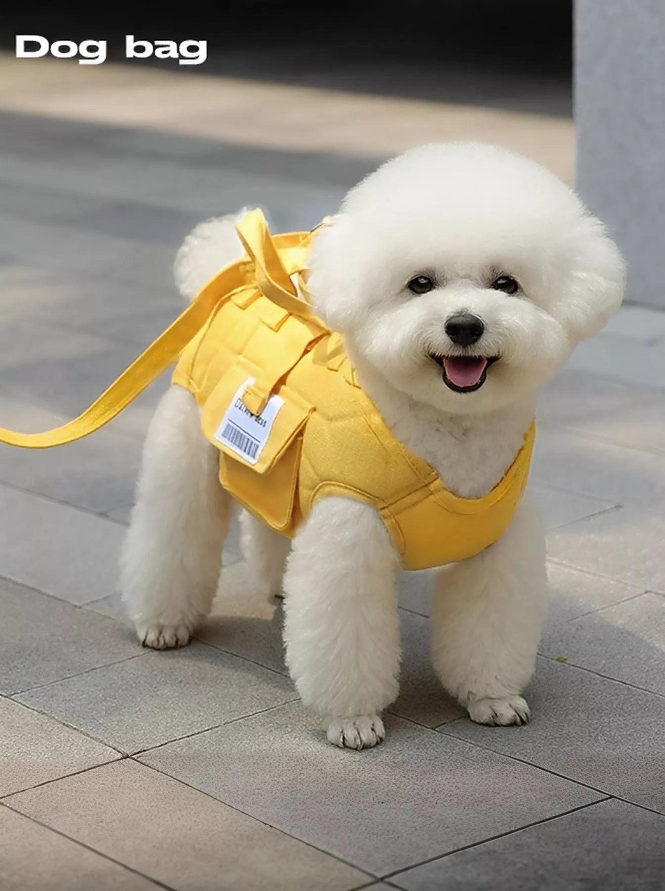 6f4526d1-8b8f-444c-9c99-a0f3f49d28ac-Max-Origin