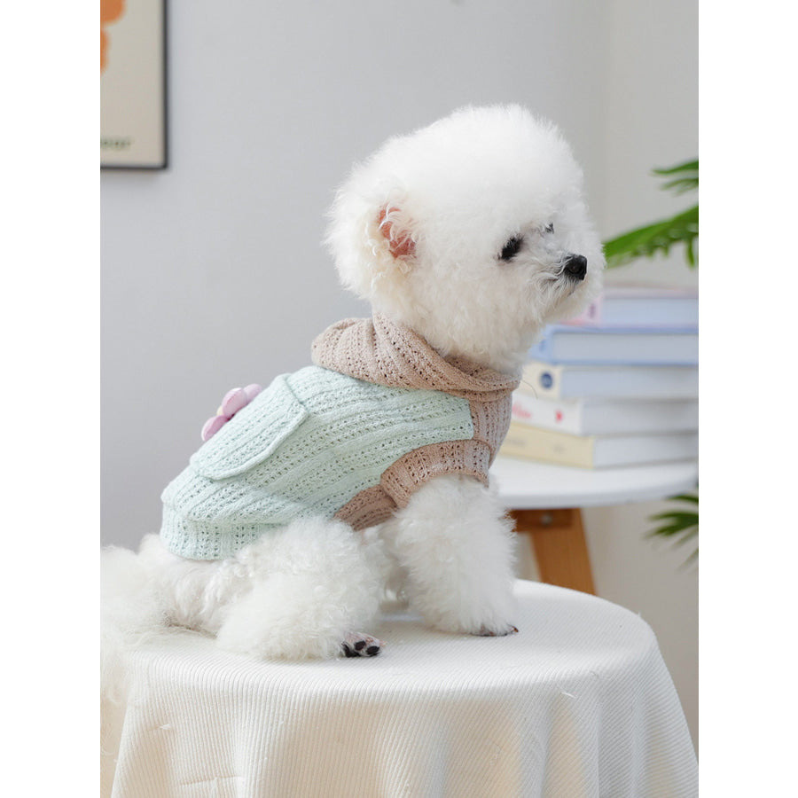 Flower Knitted Pet Hoodie Mint Blue / XS Apparel and Accessories