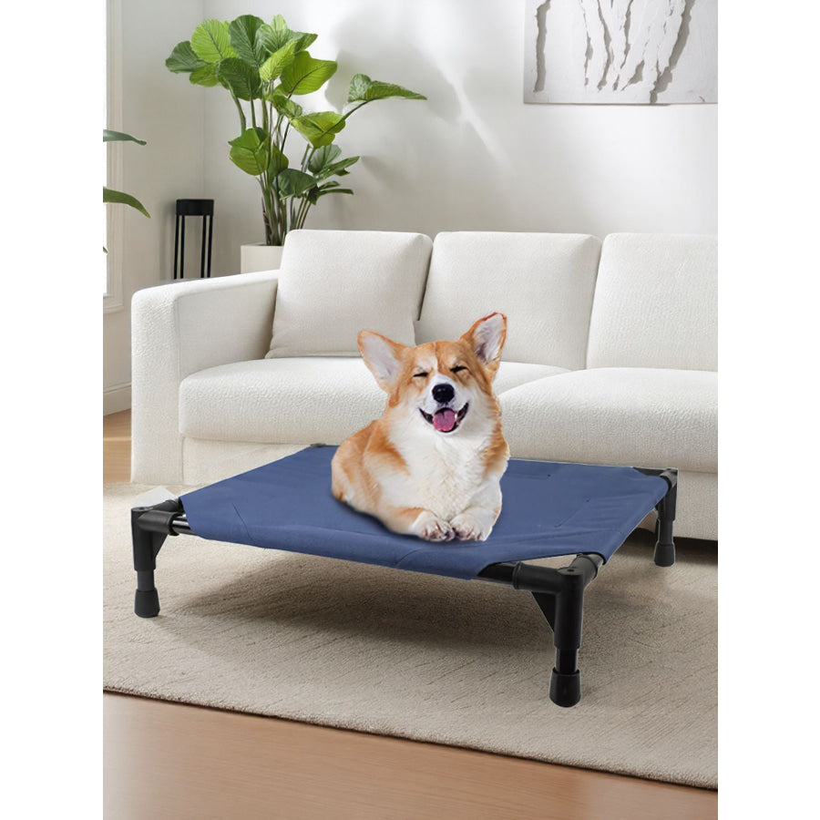 Foldable Elevated Pet Bed Apparel and Accessories