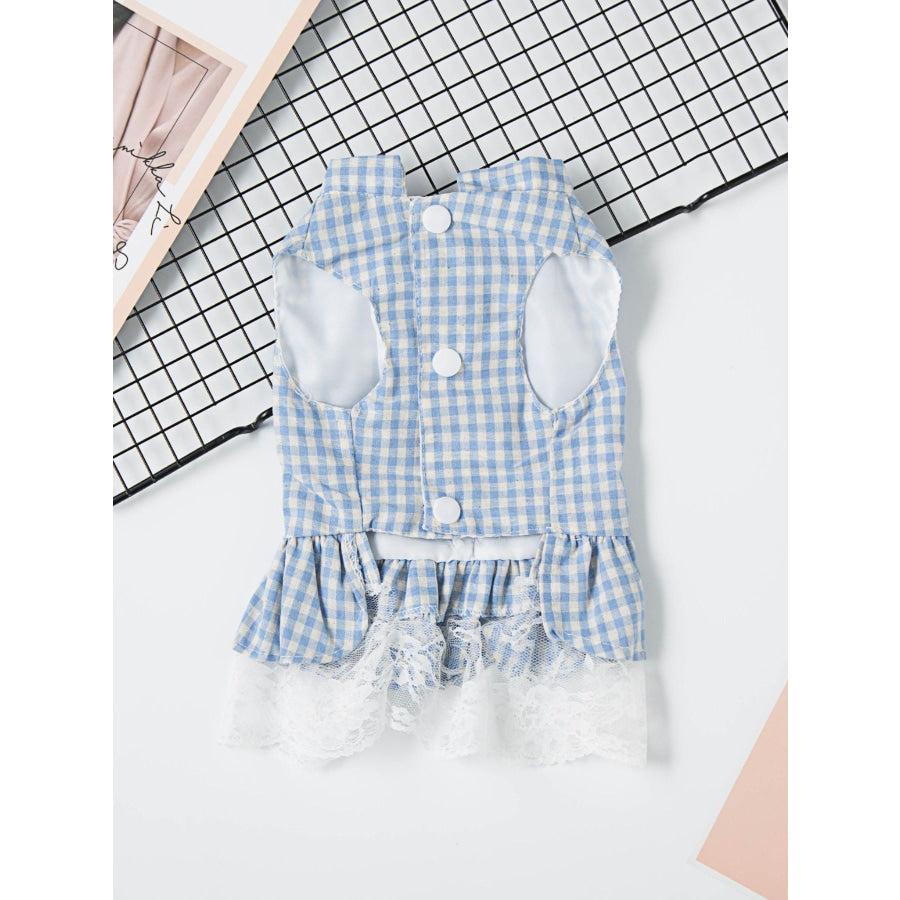 Gingham Ruffle Lace Pet Dress Blue / XS Apparel and Accessories