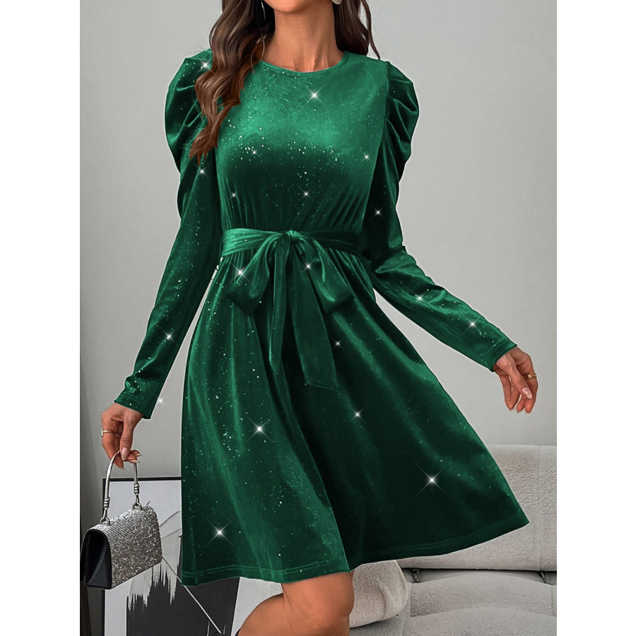 Glitter Round Neck Puff Sleeve Dress Apparel and Accessories