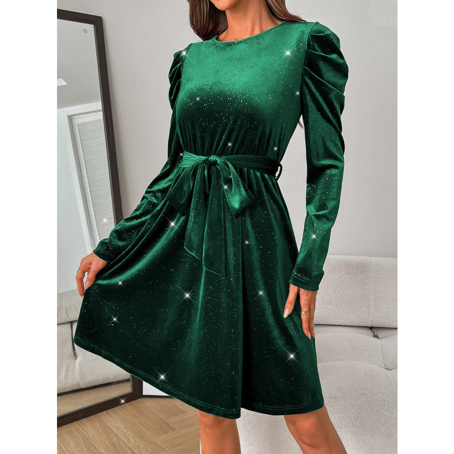 Glitter Round Neck Puff Sleeve Dress Apparel and Accessories