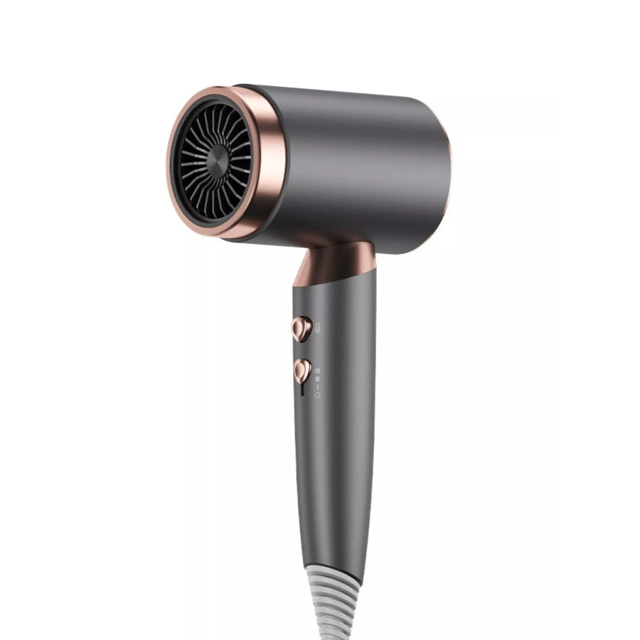 Household Hair Dryer with Temperature Control Apparel and Accessories