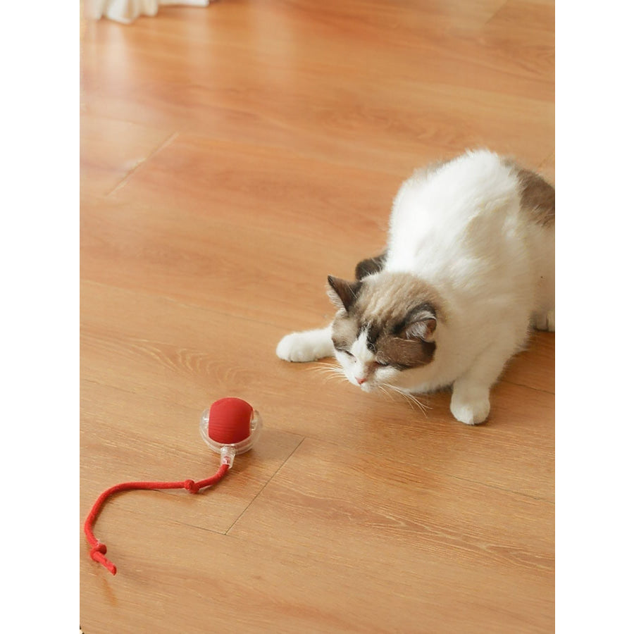 Interactive Ball Cat Sound Toy with Rope Red / 150 mah battery Apparel and Accessories