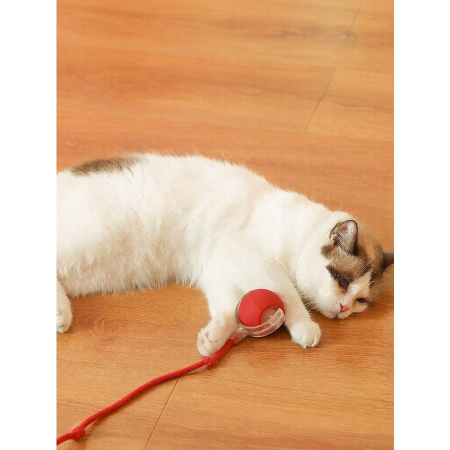 Interactive Ball Cat Sound Toy with Rope Red / 150 mah battery Apparel and Accessories