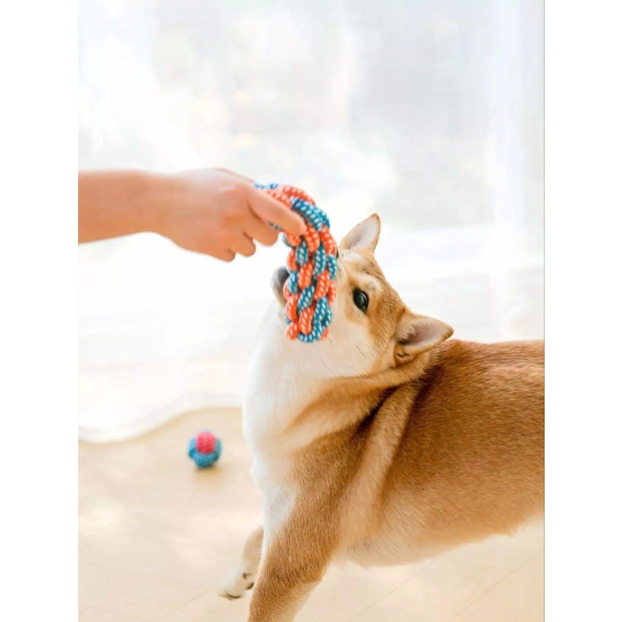 Interactive Rope Knot Pet Toys Apparel and Accessories
