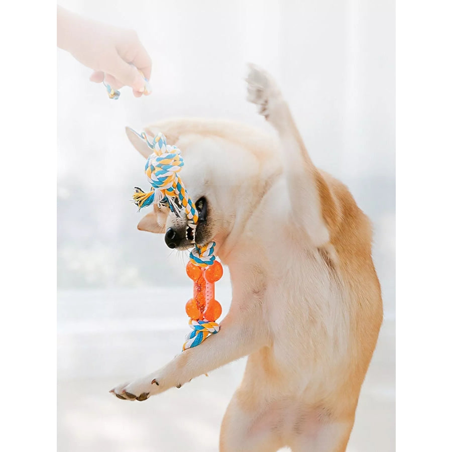 Interactive Rope Knot Pet Toys Rope Bones 1 / ONESIZE Apparel and Accessories
