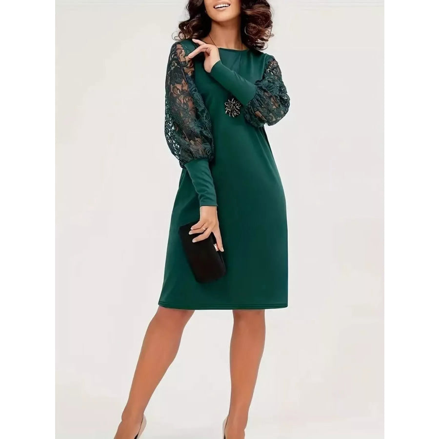 Lace Lantern Sleeve Dress Apparel and Accessories