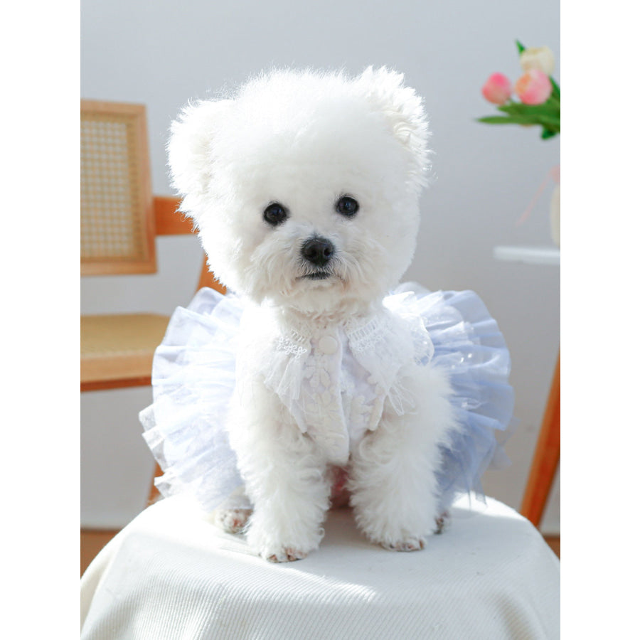 Lace Tutu Pet Dress Apparel and Accessories