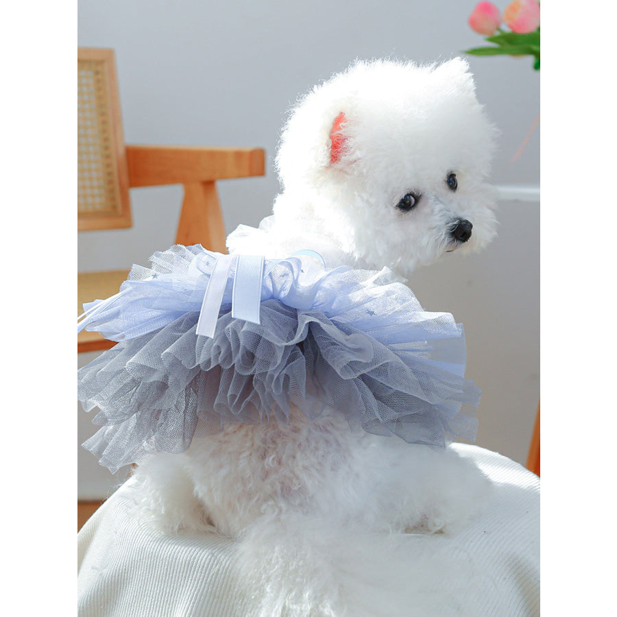 Lace Tutu Pet Dress Apparel and Accessories