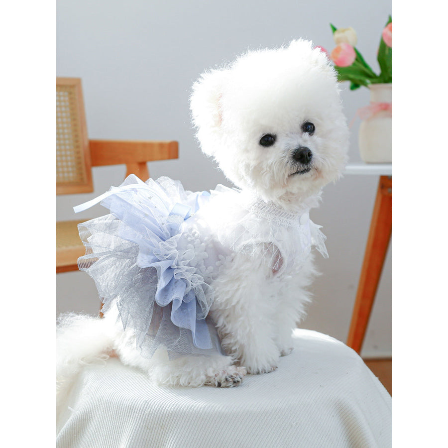Lace Tutu Pet Dress White + Blue / XS Apparel and Accessories