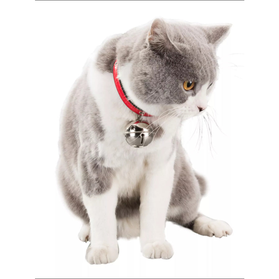Leather Pet Collar with Bell Red / S Apparel and Accessories