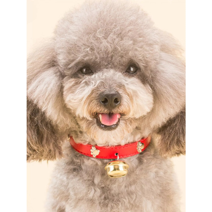 Leather Pet Collar with Bell Red / S Apparel and Accessories